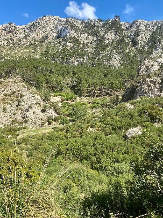 Finca Ses Fontanelles Andratx Guest house
