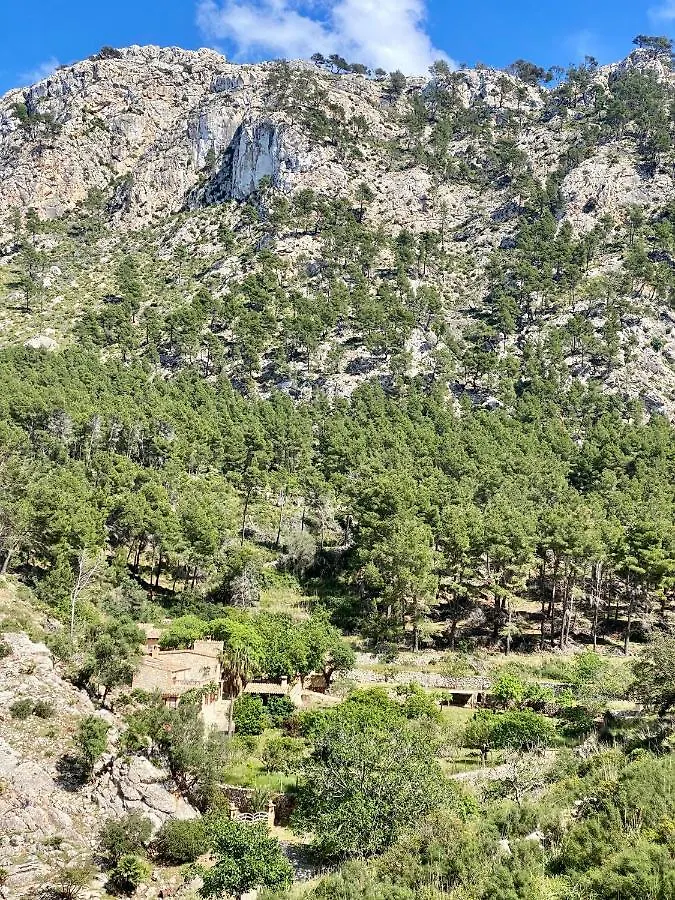 Finca Ses Fontanelles Andratx