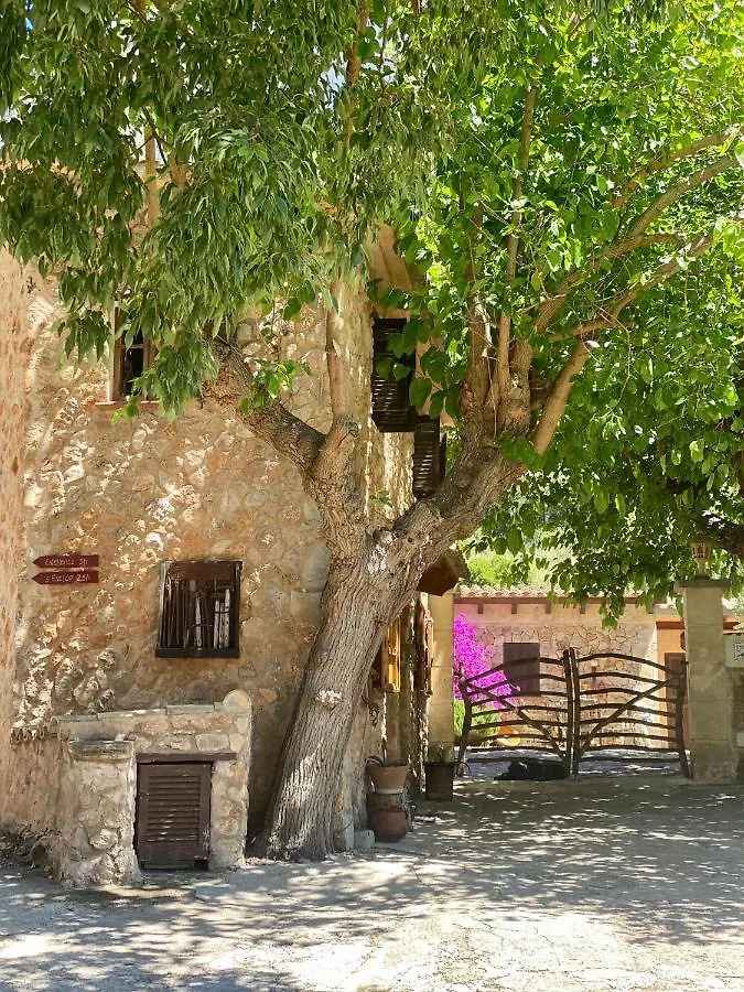 Finca Ses Fontanelles Andratx Pensjonat
