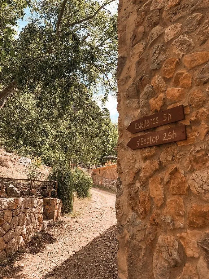 Finca Ses Fontanelles Andratx